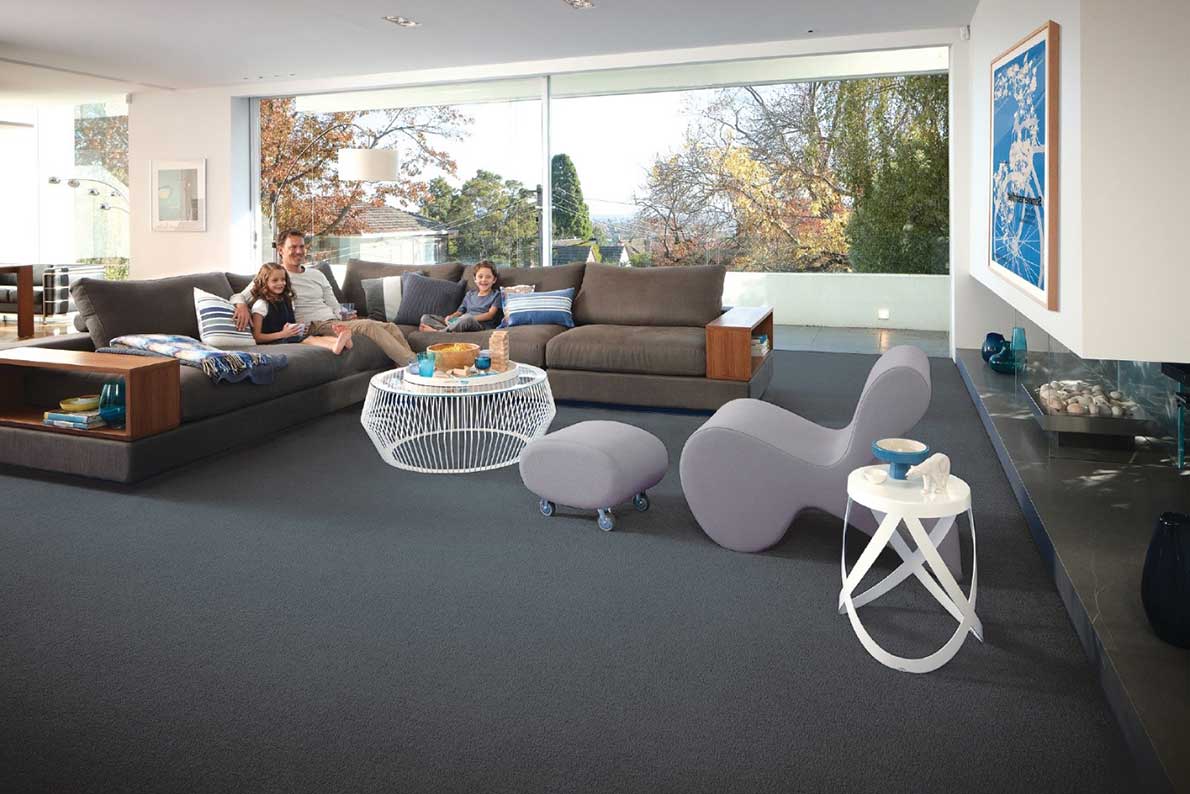 Area carpets for living room